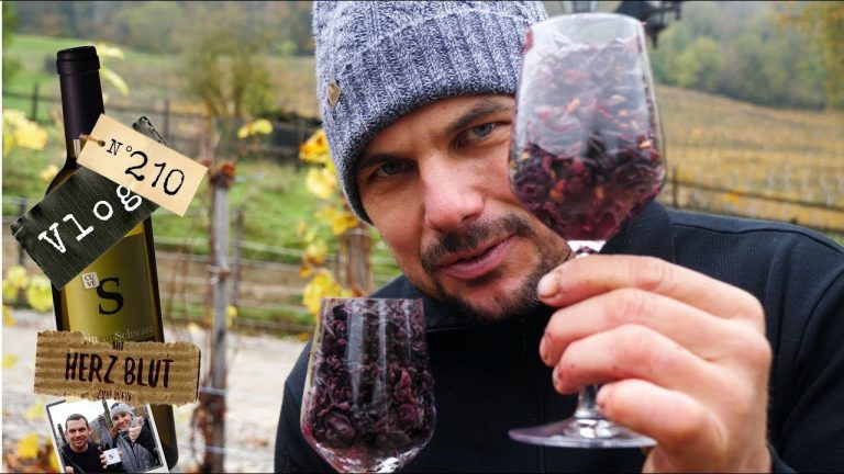 Je dunkler um so besser | So wird Rotwein gemacht #2