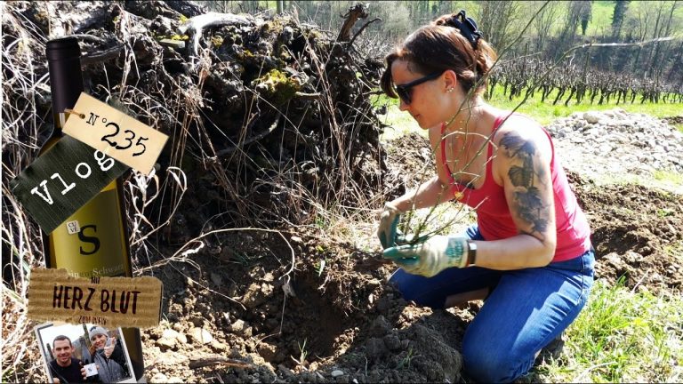600 mal Schweiss, Blut und Liebe | Hecke Projekt Teil 2